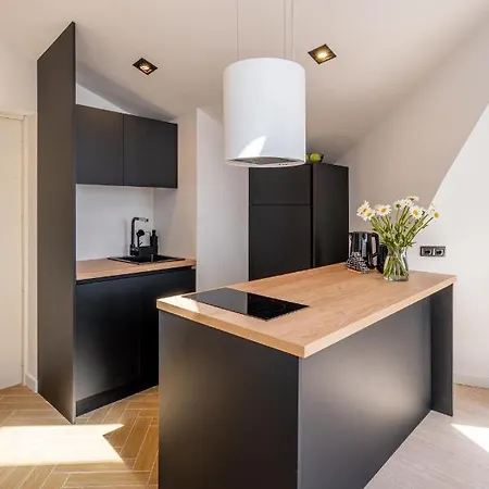 Spacious Mansard In The Old Town Riga