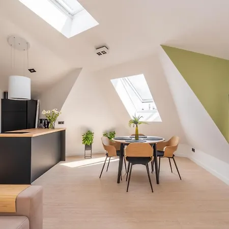 Spacious Mansard In The Old Town Daire