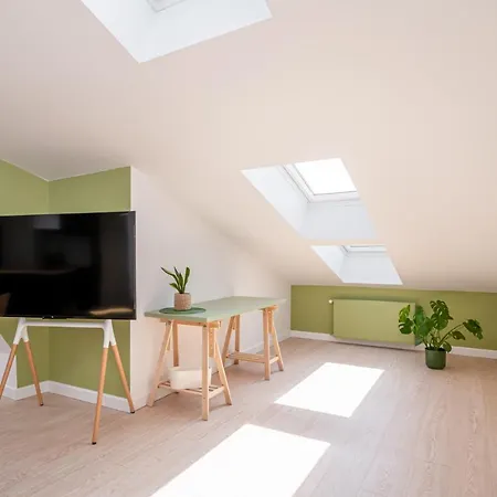 Spacious Mansard In The Old Town