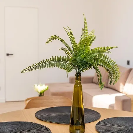 Apartment Spacious Mansard In The Old Town