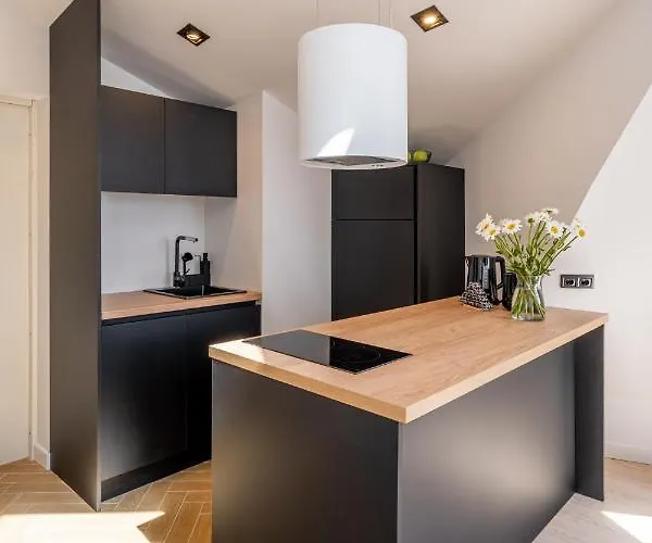 Spacious Mansard In The Old Town Riga