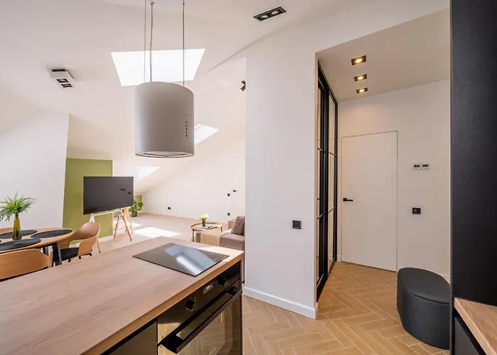 Spacious Mansard In The Old Town Daire