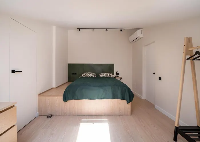 Spacious Mansard In The Old Town *