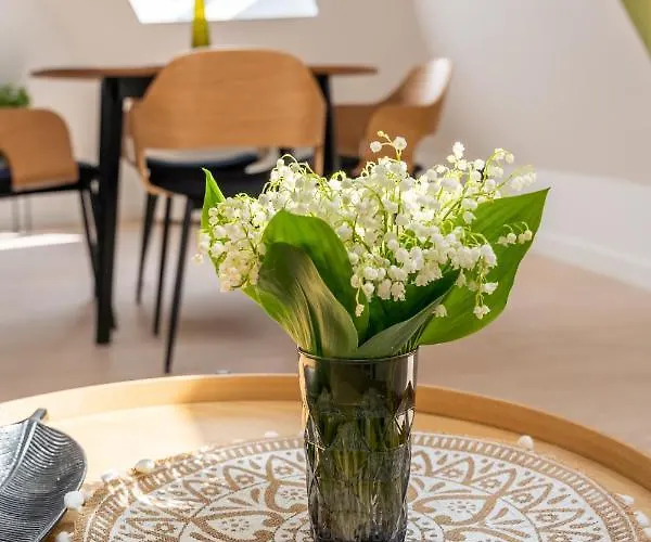 Spacious Mansard In The Old Town Daire *