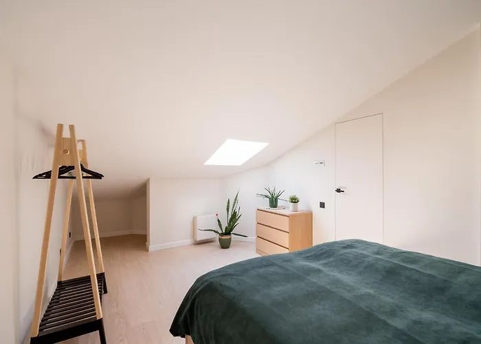 Spacious Mansard In The Old Town *