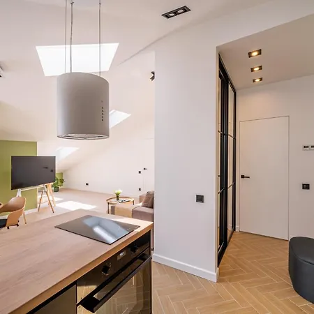 Spacious Mansard In The Old Town Lejlighed