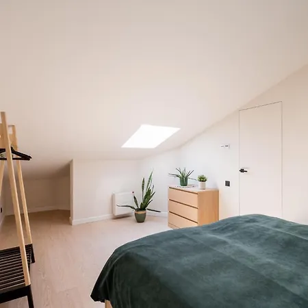 Spacious Mansard In The Old Town *