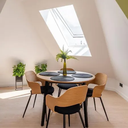 Spacious Mansard In The Old Town *